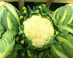 Cabbage and Cauliflower