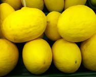 Honeydew Melon(large)