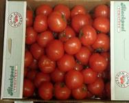 Blackpool Tomatoes