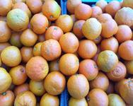 Seville oranges  (Bitters)
