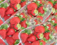 Strawberries dutch