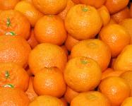Clementines in punnets