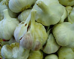 Wet garlic