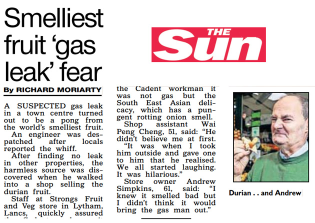 The Sun